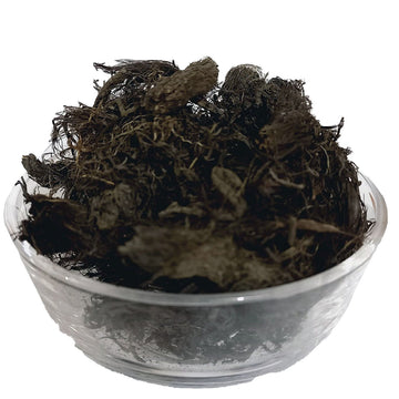 Balchar - Booti For Hair - 100% Original, Fresh, Pure - Jatamansi Baal Jar by Herbisol image 0