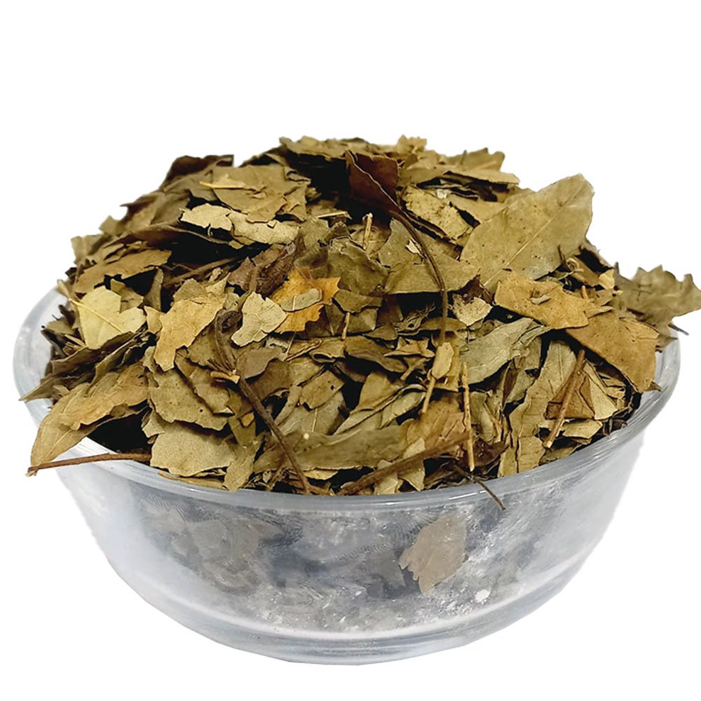 Kadi Patta - Curry Leaves - 100% Original, Fresh And Pure - Kaddi Pata / Cury Putta/ Kari Putta/ Karri / Kurri / Cury Leaf by Herbisol image 0