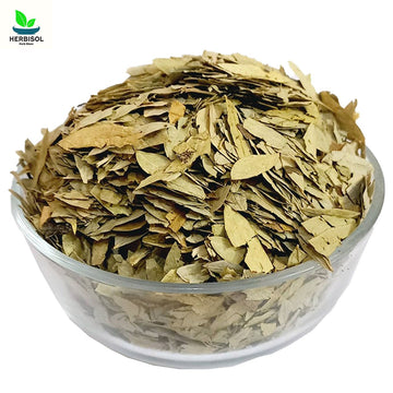 Sanamaki - Senna Leaves Dry - 100% Original - Barg Sana Maki / Makki / Sunamukhi / Sanamakki by Herbisol image 0