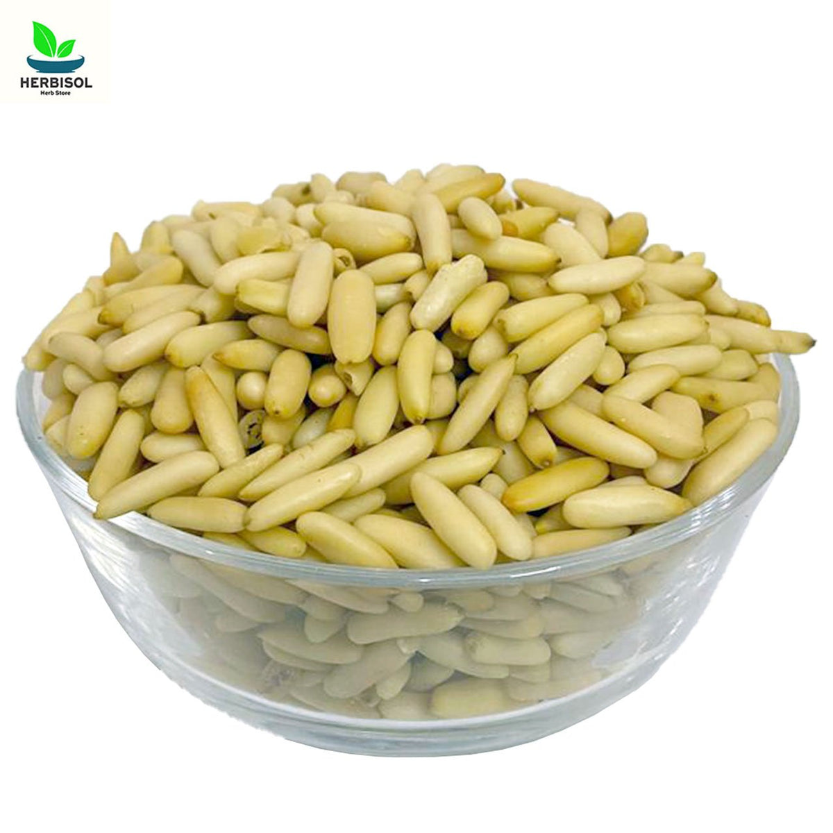 Maghaz Chalgoza - Pine Nuts without Shell - 100% Original, Fresh and Pure Magaz Chilgoza / Chilgozay / Chalgozey by Herbisol image 0