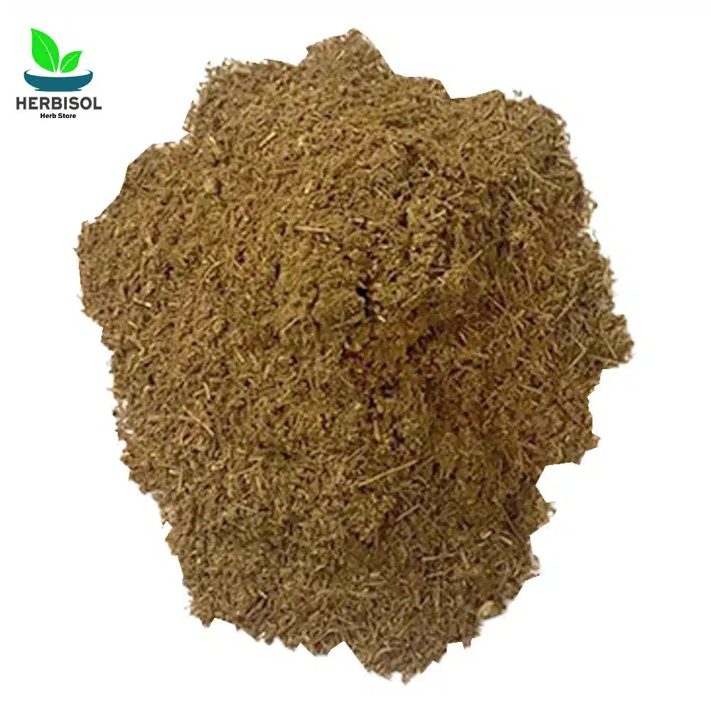 Barge Sanober Powder برگ صنوبر پسا - Pine Nut Leaves Dry Powder - Chilgozay Ke Patty Pissay - 100% Original, Pure - Barg e Snober Pissa by Herbisol image 1