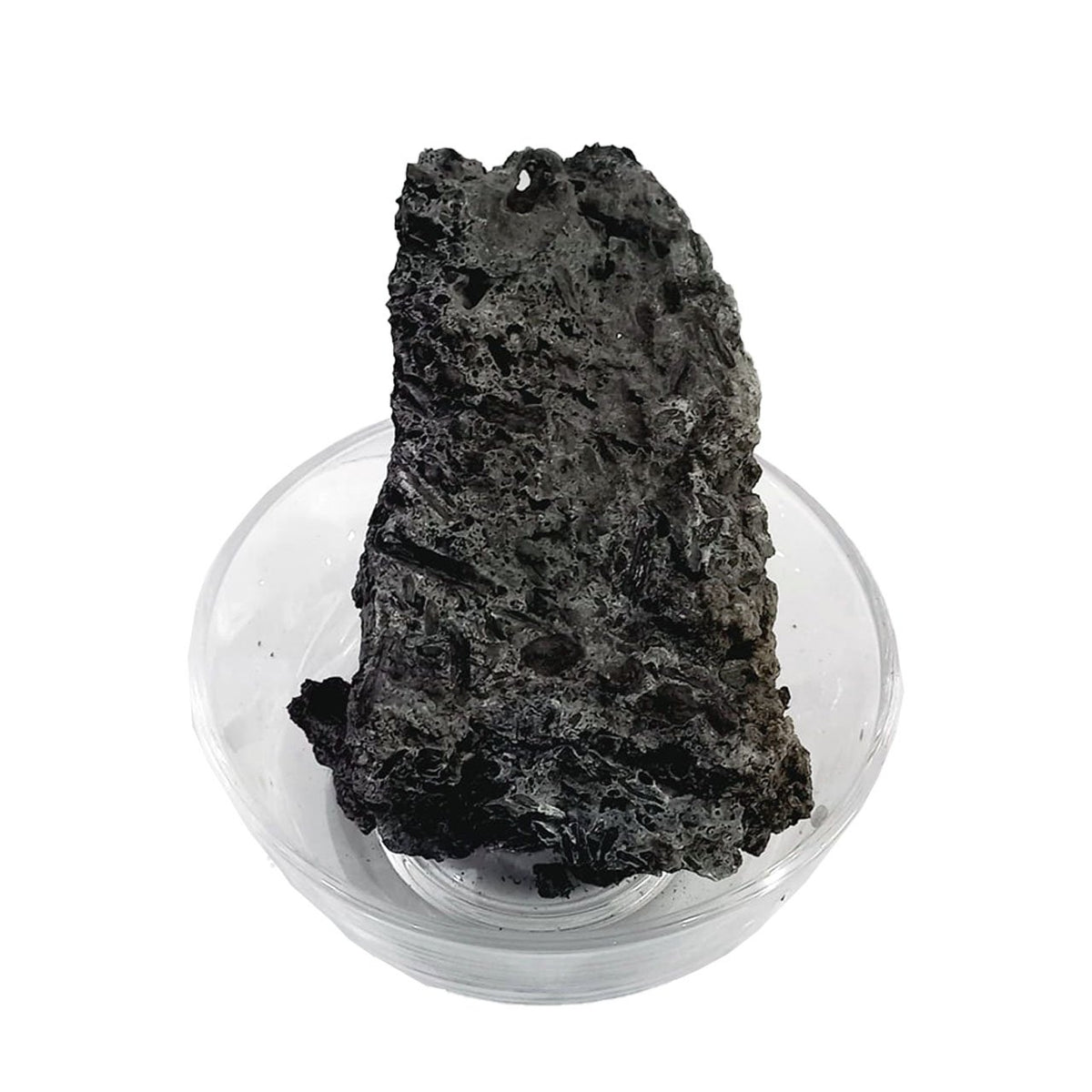 Sajji Siyah - Saji Kali - 100% Original, Fresh and Pure - Black Sujji By Herbisol image 0