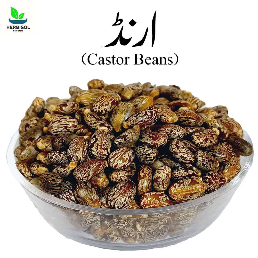 Arind ارنڈ - Castor - Arandi Ke Bheej / Castor Beans by Herbisol image 0