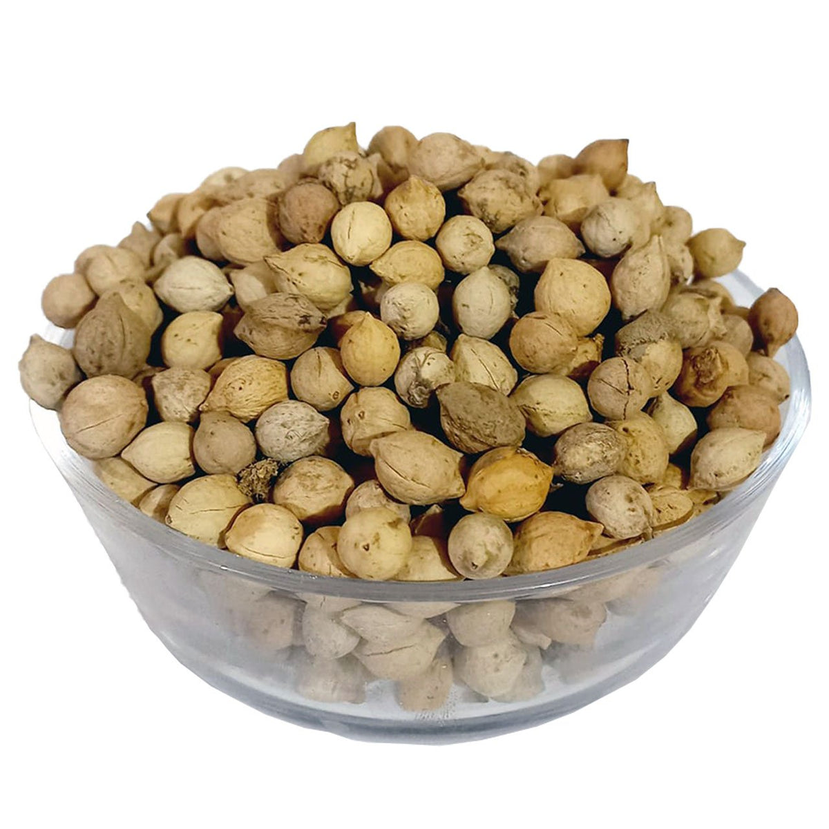 Jiya Pota - Putrajeevak Beej - 100% Original, Fresh and Pure Jia Seeds by Herbisol image 0