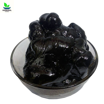 Shilajit - Salajeet Special - Shalajeet / Shilajeet / Silajeet / Salajit 100% Original by Herbisol image 0