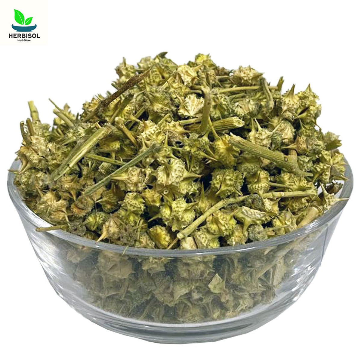 Pakhra - Gokhru - 100% Original, Fresh Pukhra / Pakhara / Pukhara / Gogru by Herbisol image 0