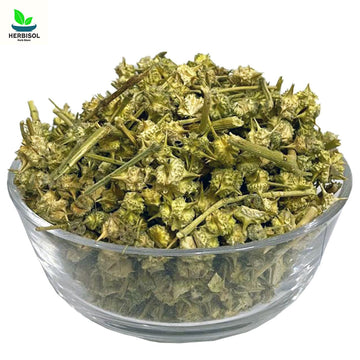 Pakhra - Gokhru - 100% Original, Fresh Pukhra / Pakhara / Pukhara / Gogru by Herbisol image 0