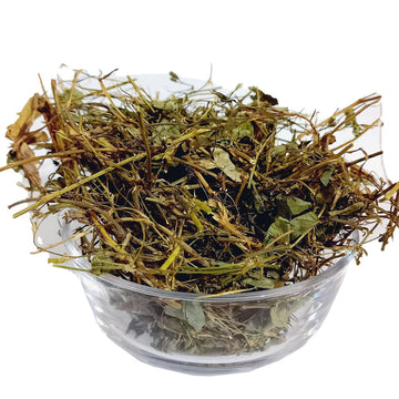 Brahmi Booti - Centella - 100% Original, Pure - Barham Buti / Barhami Booty by Herbisol image 0