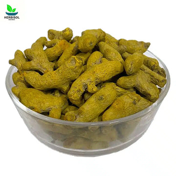 Haldi Sabat - Turmeric Sticks - 100% Original, Fresh and Pure Huldi Ghandi / Gundi Haladi by Herbisol image 0