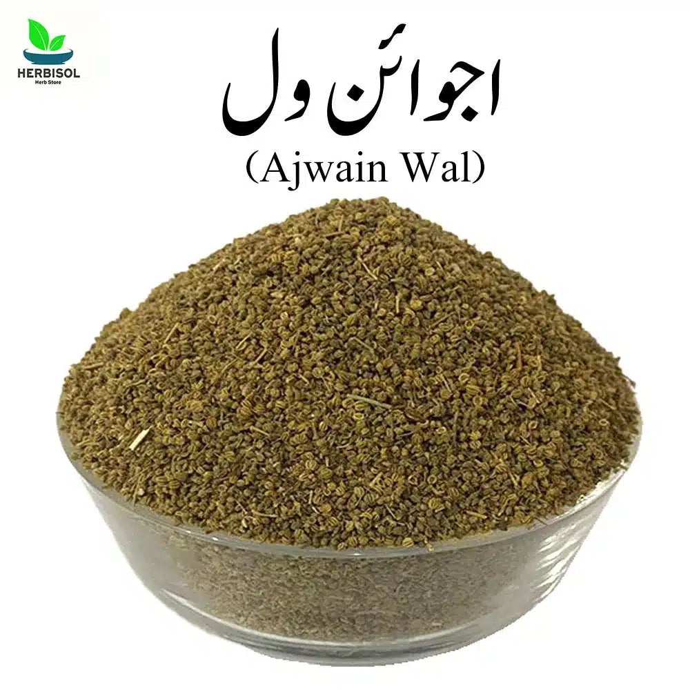 Ajwain Wal اجوائن ول - Ajvain Will / Val / Wall / Vil / Wil Fresh And Original Ajvain by Herbisol image 0