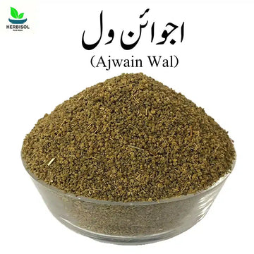 Ajwain Wal اجوائن ول - Ajvain Will / Val / Wall / Vil / Wil Fresh And Original Ajvain by Herbisol image 0