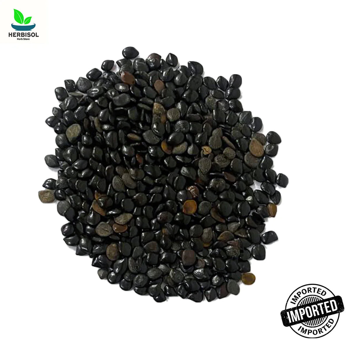 Chasku چاسکو - Cassia Absus Seeds - 100% Original, Fresh and Pure Chaksu Bhij چاکسو / Chasko Ke Bheej / Tukham Chaskoo / Chakso Seed / Tukhm Chaksoo by Herbisol image 1