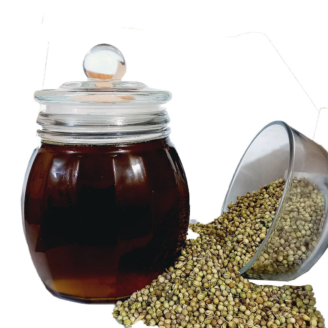 Dhania Oil - Roghan Dhaniya - 100% Original, Fresh and Pure Coriander Ka Tail by Herbisol image 0