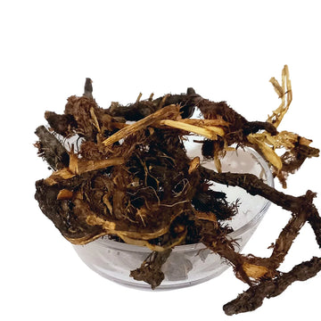 Nagarmotha - Nutgrass - Nagur / Nagar Motha - 100% Original, Fresh and Pure Nagurmotha by Herbisol image 0