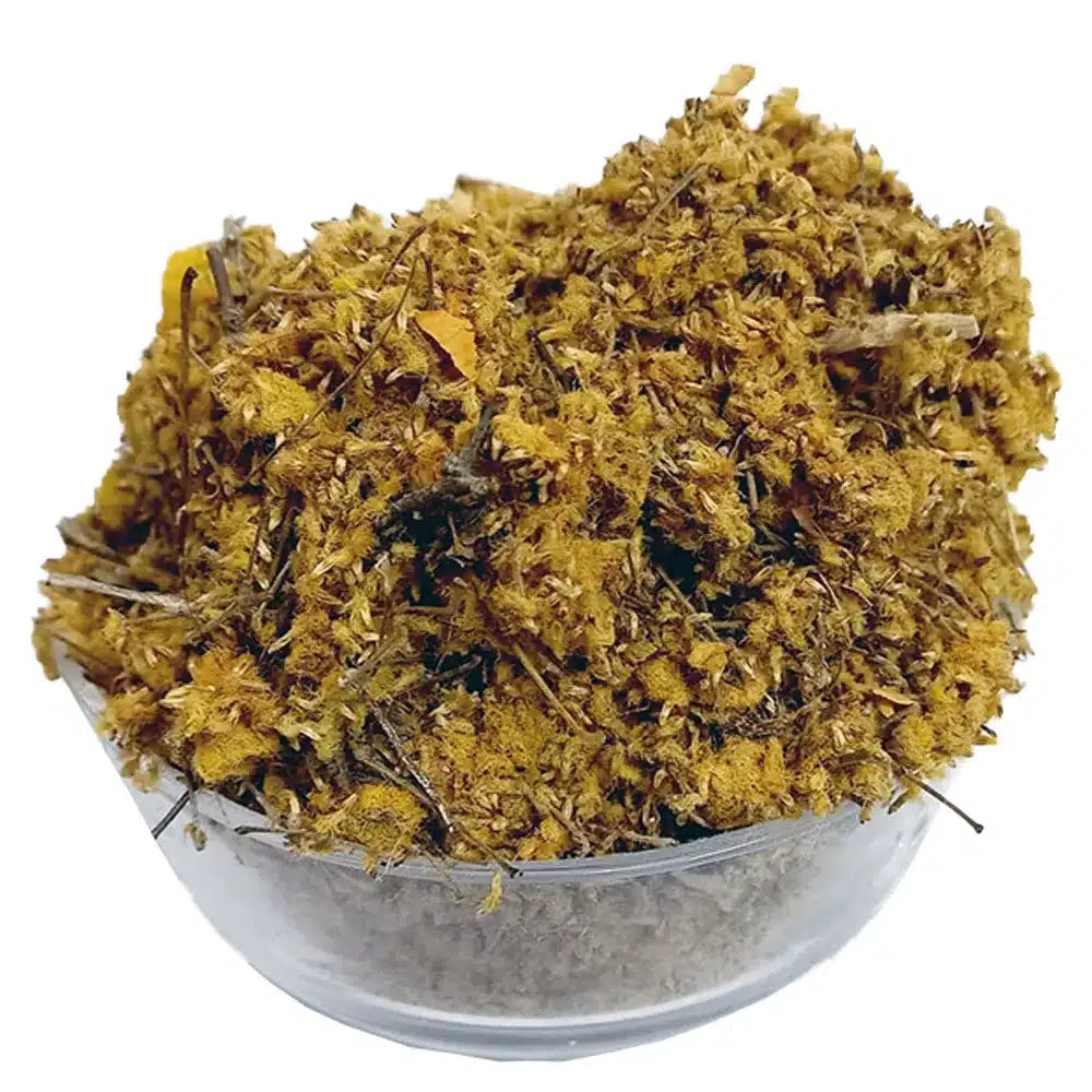 Gul Keekar - Dry Babool Flower - Gull Kikar - 100% Original, Fresh and Pure Gule Kekar Phool by Herbisol image 0