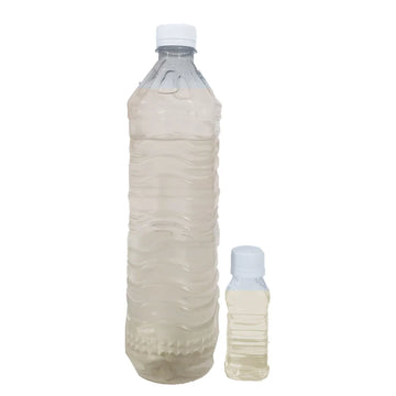 Sat Safeda - Eucalyptus Oil - 100% Original, Fresh and Pure Sut Sfeda / Ucaliptis Extract Oil by Herbisol image 0