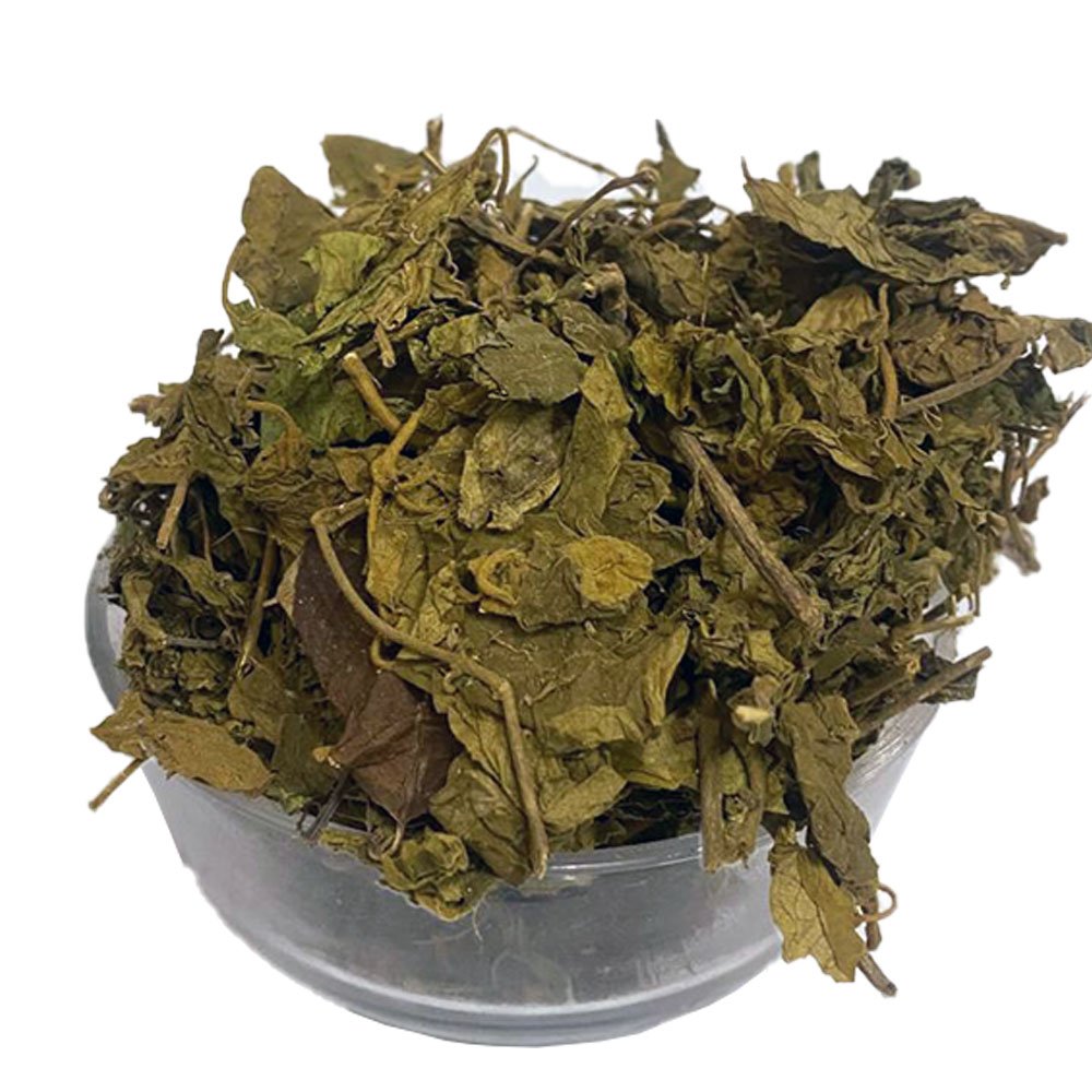 Gurmaar Booti - Miracle Fruit - Pure Dried Gurmar Buti / Boti by Herbisol image 0