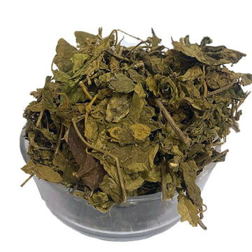 Gurmaar Booti - Miracle Fruit - Pure Dried Gurmar Buti / Boti by Herbisol image 0