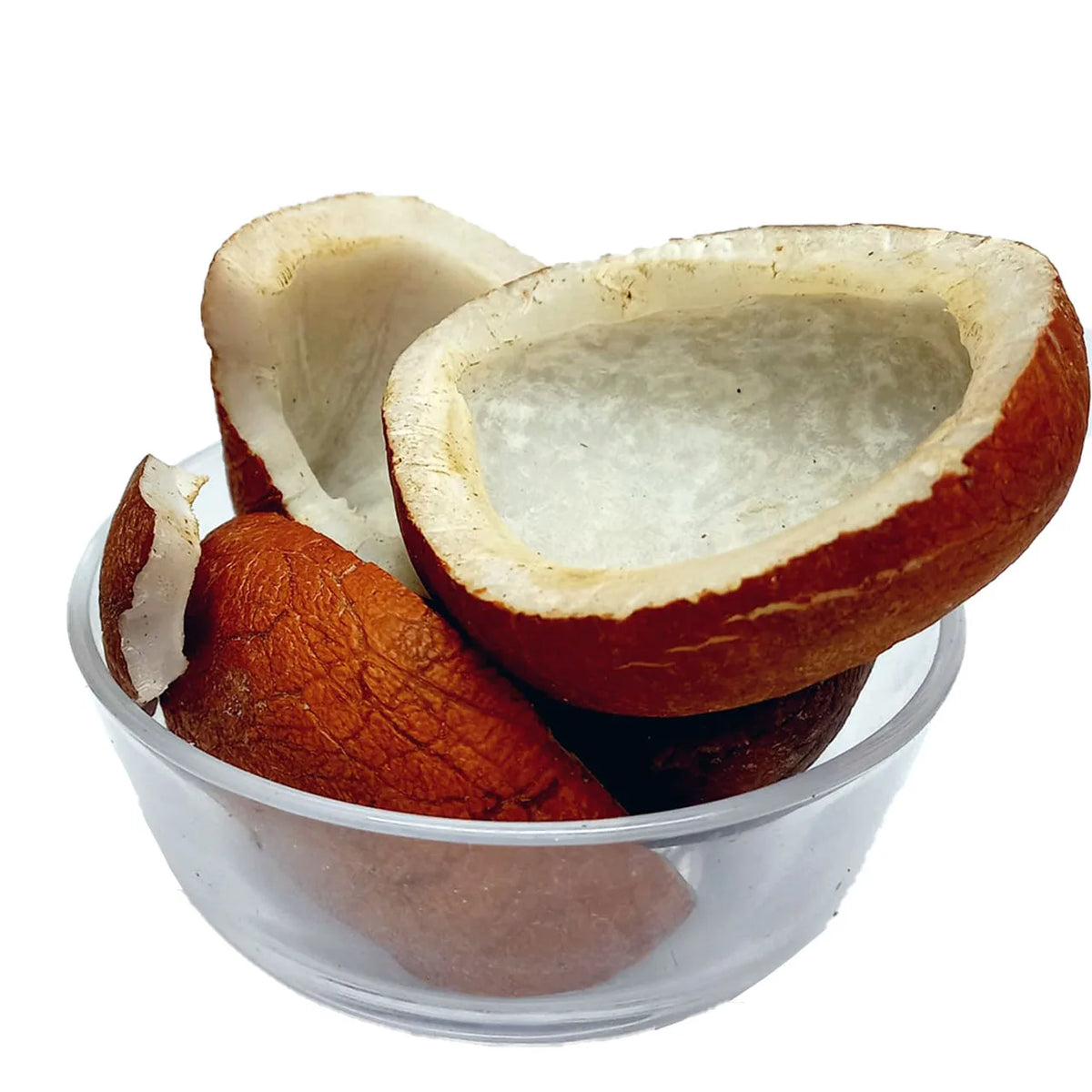 Coconut - Naryal - 100% Original, Fresh and Pure Giri Khopra by Herbisol image 0