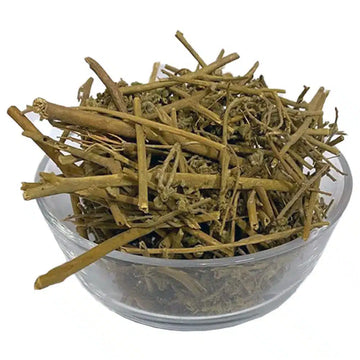 Hathi Sundi - Heliotropium Indicum - 100% Original, Fresh and Pure Hasthi Soondi / Haathi Sondi by Herbisol image 0
