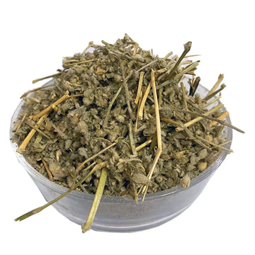 Neel Kanhti - Neelkanthi - 100% Original, Fresh and Pure Nil Kunthi by Herbisol image 0