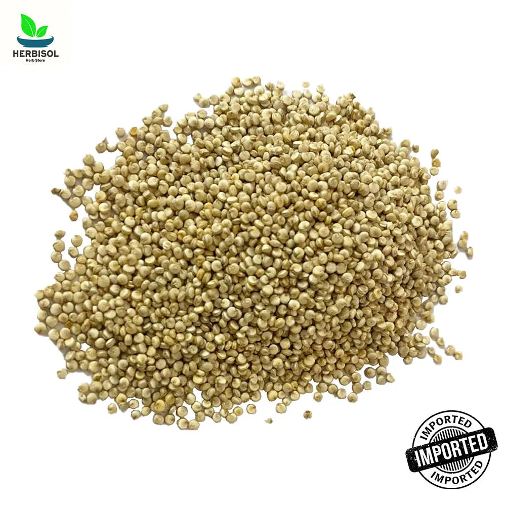 Quinoa کینوا - Kinnow Seed - 100% Original, Fresh and Pure Kinwa / Quonia / Qunoa / Qunioa Seeds by Herbisol image 1