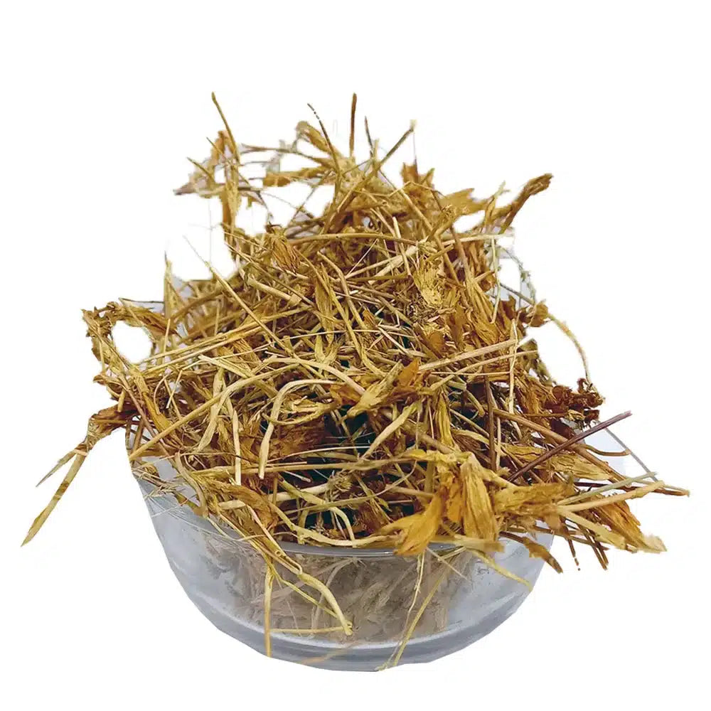 Gul Ghafis - Dry Gentiana Flower - Gull Gafis - 100% Original, Fresh and Pure Ghafiz / Gafiz Phool by Herbisol image 0