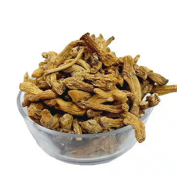 Shaqaqul - Parsnip - 100% Original, Fresh Shakakal / Shkakal / Shakakul Misri by Herbisol image 0