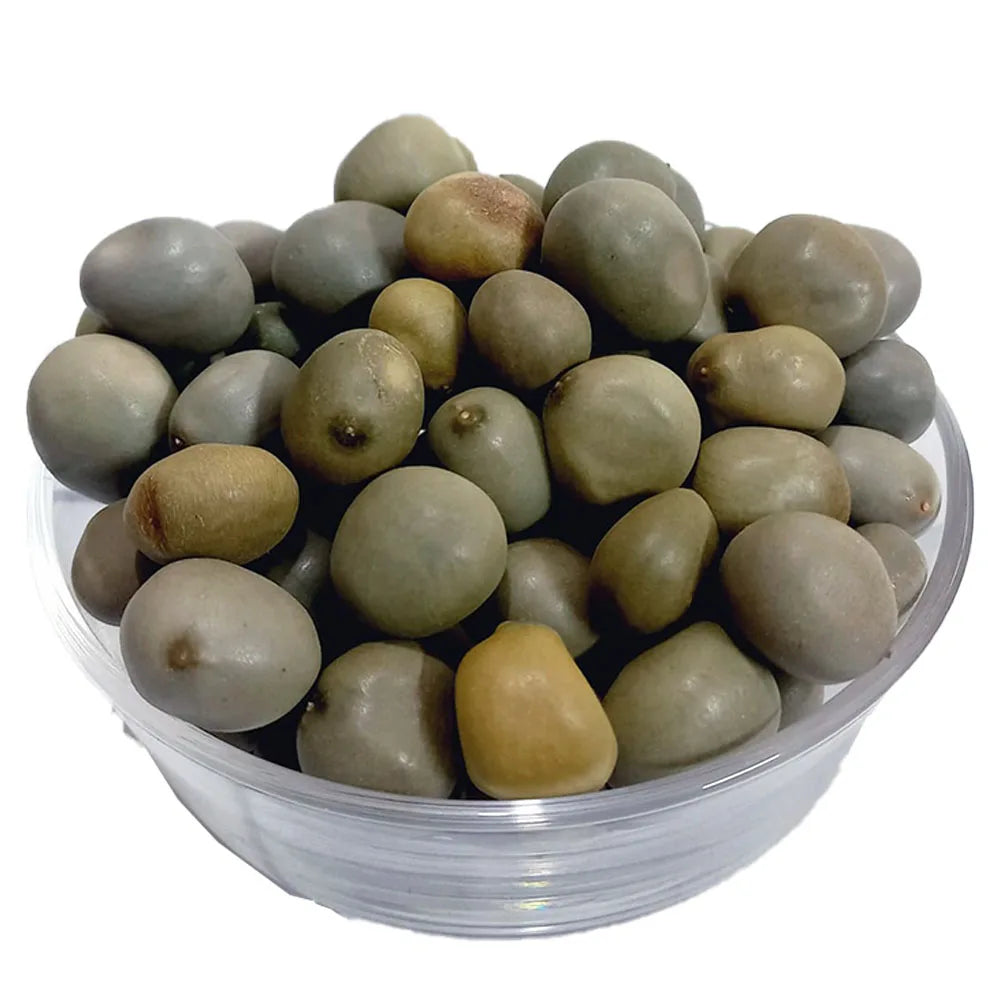 Karanjwa - Tukham Kranjwa Ke Bheej - 100% Original, Fresh and Pure Sagargota Seeds / Karan Jawa by Herbisol image 0