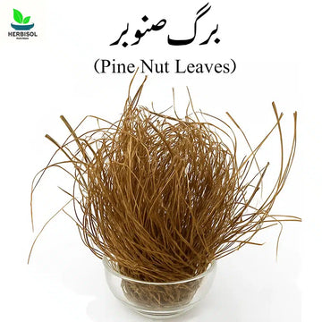Barge Sanober برگ صنوبر - Pine Nut Leaves Dry - Chilgozay Ke Patty - 100% Original, Pure - Barg e Snober by Herbisol image 0