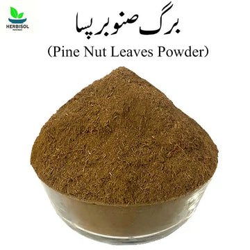 Barge Sanober Powder برگ صنوبر پسا - Pine Nut Leaves Dry Powder - Chilgozay Ke Patty Pissay - 100% Original, Pure - Barg e Snober Pissa by Herbisol image 0