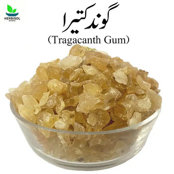 Goond Katira گوند کتیرا - Tragacanth Gum Imported - Gond Kateera / Gund Katera by Herbisol image 0