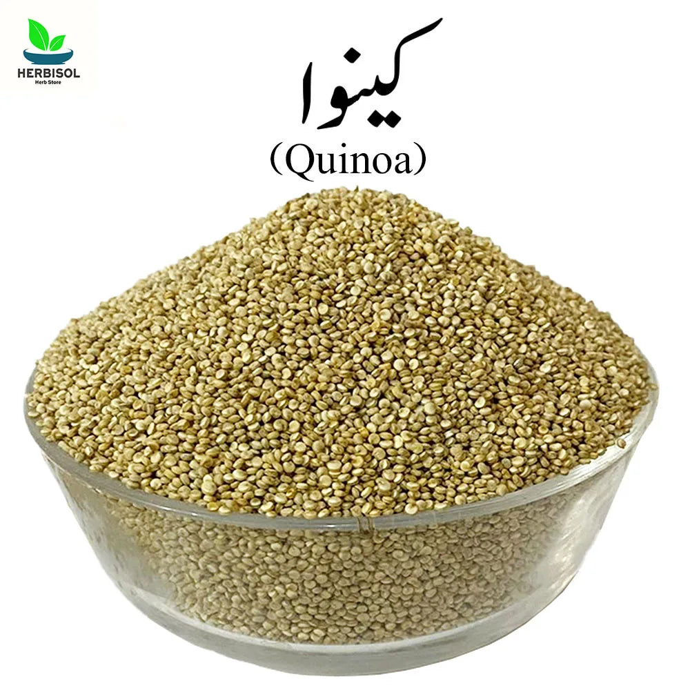 Quinoa کینوا - Kinnow Seed - 100% Original, Fresh and Pure Kinwa / Quonia / Qunoa / Qunioa Seeds by Herbisol image 0