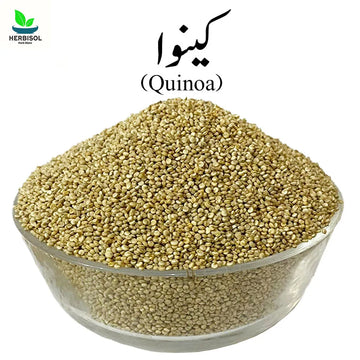 Quinoa کینوا - Kinnow Seed - 100% Original, Fresh and Pure Kinwa / Quonia / Qunoa / Qunioa Seeds by Herbisol image 0