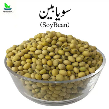 SoyBean سویابین - Soy Beans Seeds - Soyabean / Soya bean Seed 100% Original, Fresh and Pure by Herbisol image 0