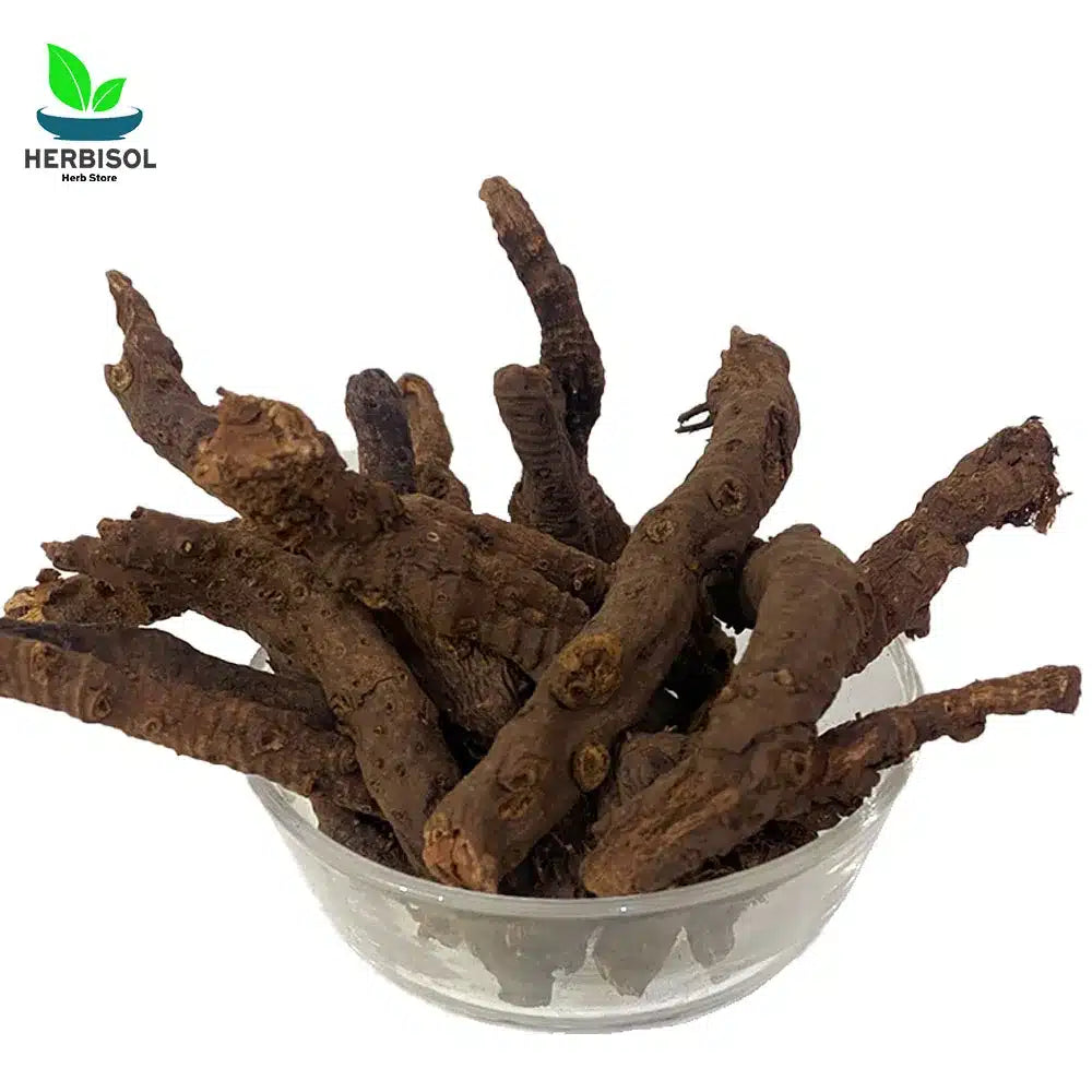 Anjbar انجبار – Knotgrass – Anjubar / Unjbar 100% Original, Pure by Herbisol image 2