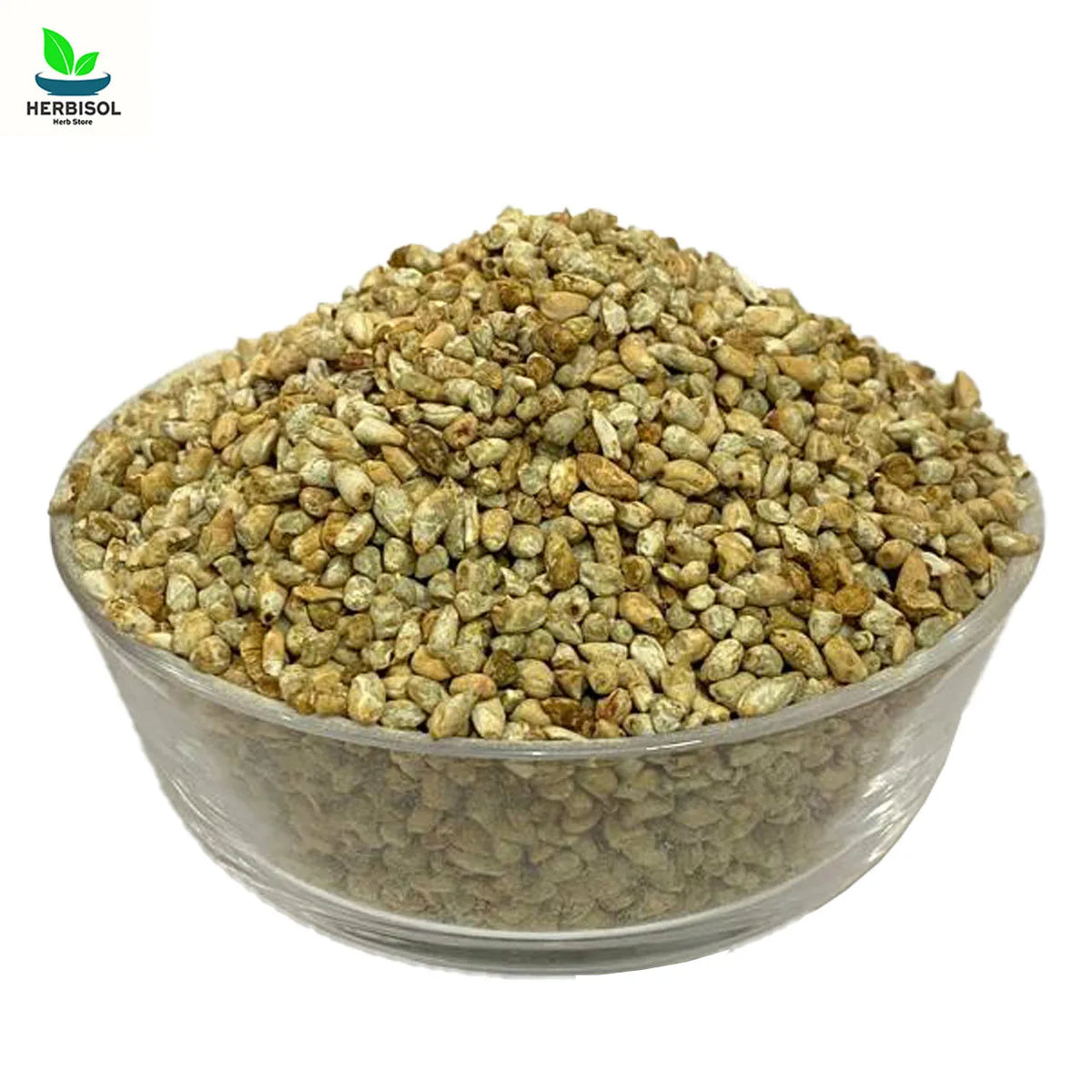 Banola - Cotton Seeds - 100% Original, Fresh Banolay Ke Bheej / Magaz Bnola Beej / Maghaz Bhij by Herbisol image 0