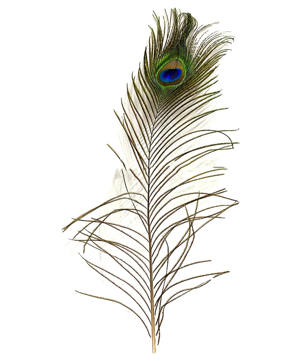 Mor Pankh - Peacock Feathers - Moor Punkh / Par Mur / Pea Cock Feather by Herbisol image 2