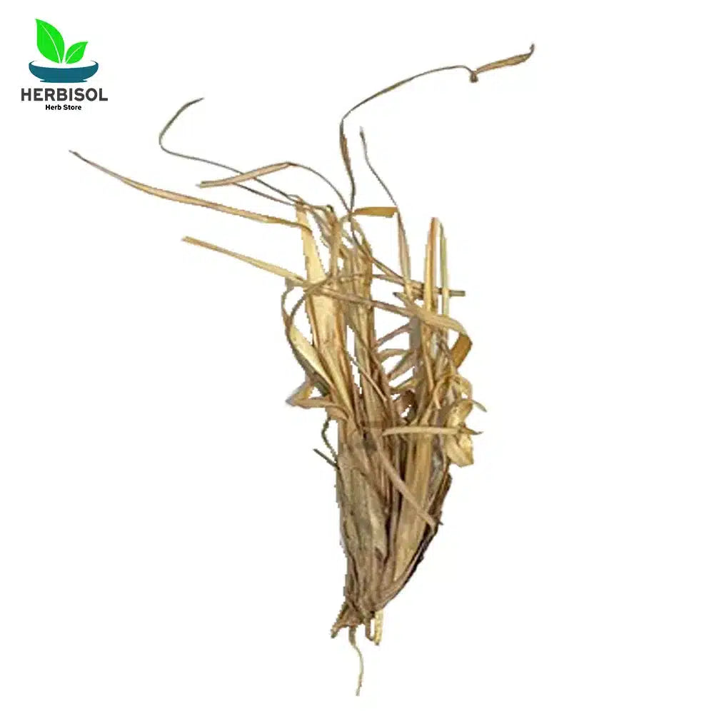 Asgar Mukki Booti ازخرمکی بوٹی - Premium Quality Pure - Azkhar Mukhi Buti - Khawi Asghar Makki by Herbisol image 2