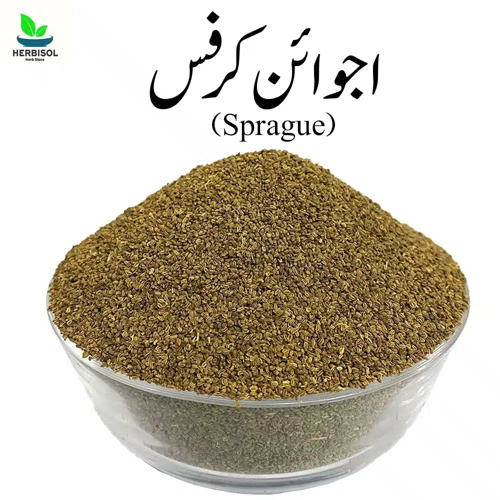 Ajwain Krifs اجوائن کرفس - Spargue - Ajvain Krufs / Krafs / Karfas Fresh And Original by Herbisol image 0