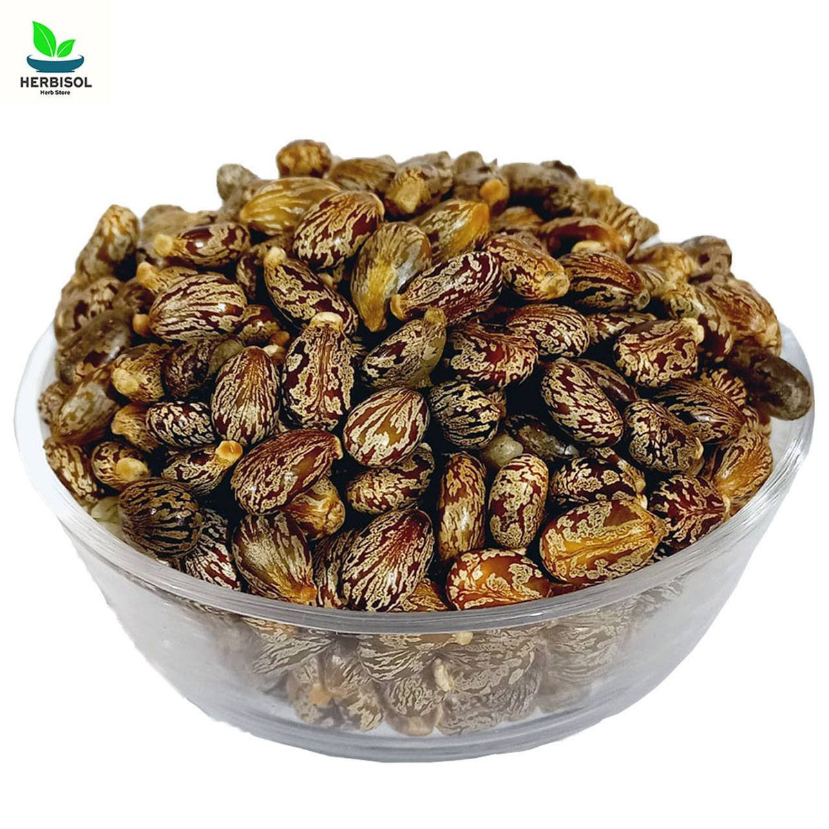 Arind ارنڈ - Castor - Arandi Ke Bheej / Castor Beans by Herbisol image 1