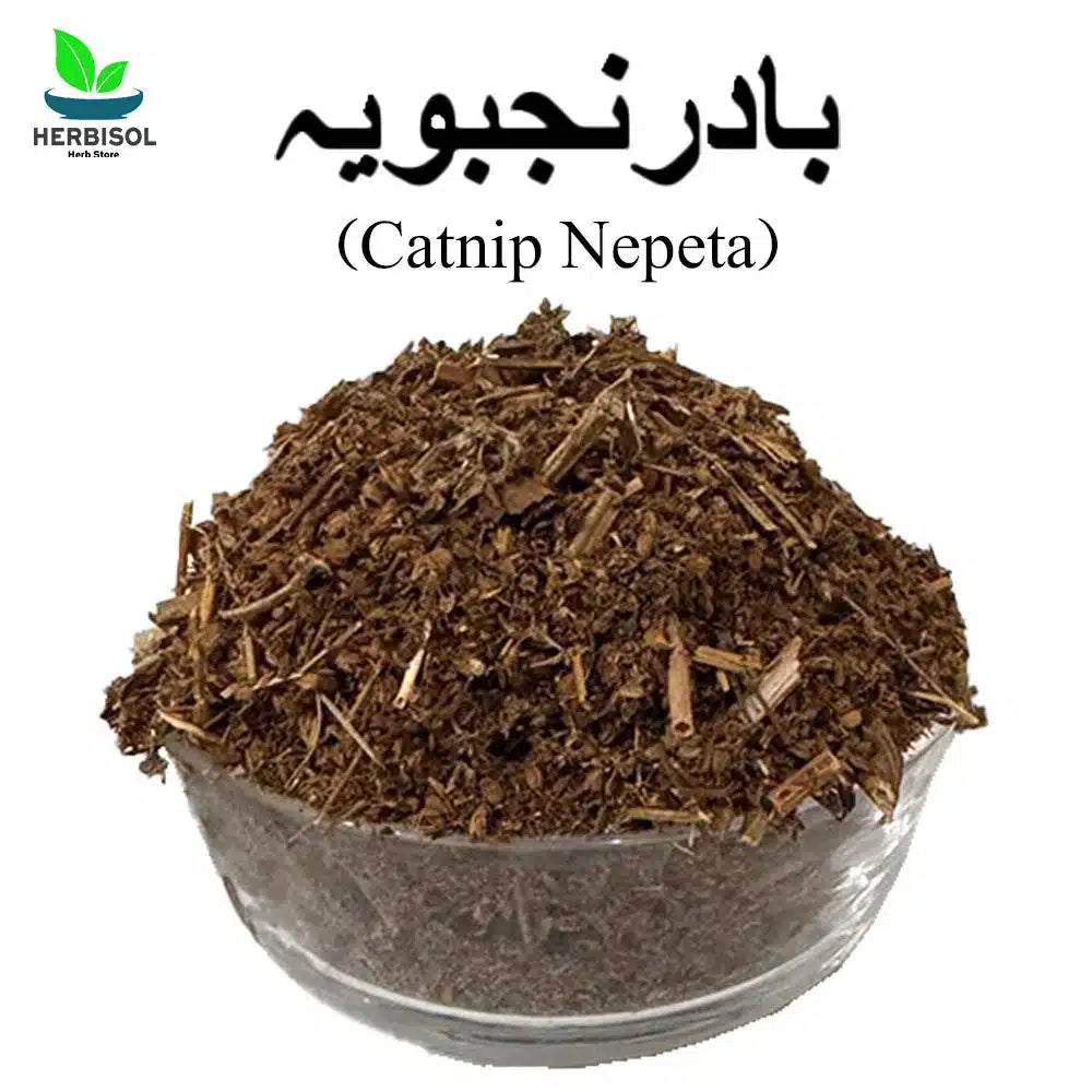 Badranjboya برگ بادرنجبویہ - Catnip Nepeta بلی لوٹن - Dry Bad Ranjboya Leaves - 100% Original and Pure - Barg Baadranjboya / Barge Badarnajboya Leaf / Barg E Badar Najboya Leafs by Herbisol image 0