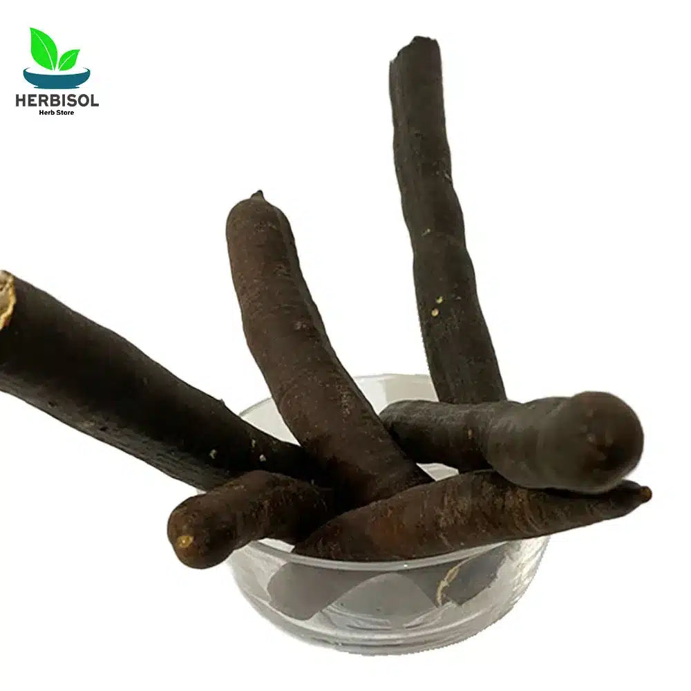 Amaltas املتاس - Cassia Fistula - Amaltaas Phalli / Amaltass / Amultas / Amultass Phali / Amul Tass by Herbisol image 3