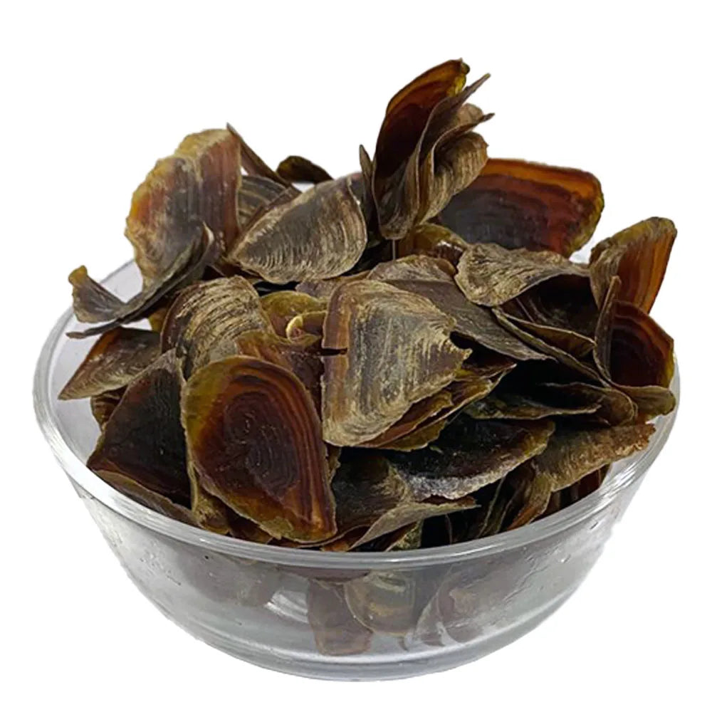 Nakha - Onycha Shell - Nikha / Nekha / Nakhaa / Nekhaa / Nikhaa / Nakhan - 100% Original, Fresh and Pure by Herbisol image 0