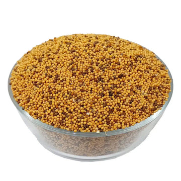 Sarso Safed - White Mustard - 100% Original, Fresh and Pure - Sarson Safaid By Herbisol image 0