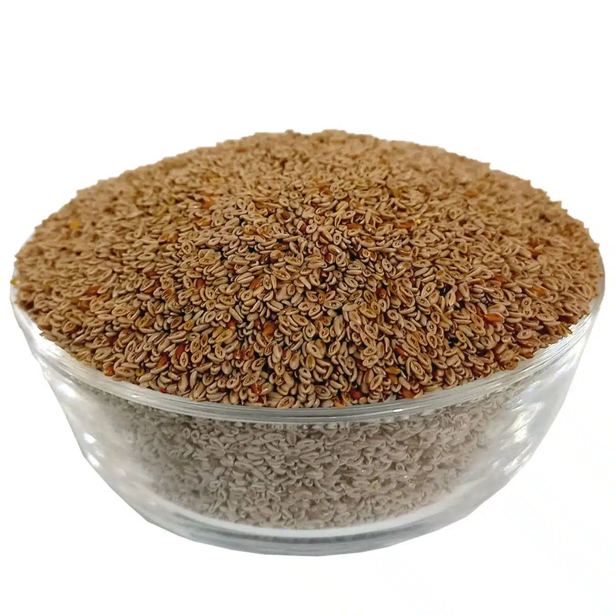 Ispaghol Sabit - Psyllium Seeds - 100% Original, Fresh and Pure - Sabat Isabgol by Herbisol image 0