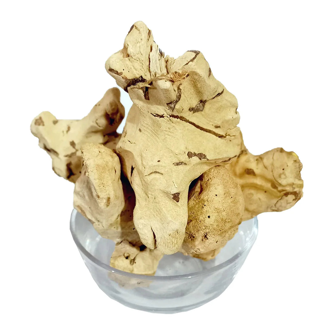 Chob Cheeni - China Root - 100% Original, Fresh and Pure Chub Chini by Herbisol image 0