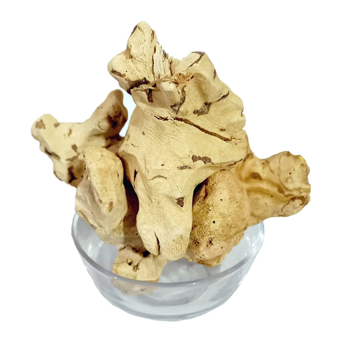 Chob Cheeni - China Root - 100% Original, Fresh and Pure Chub Chini by Herbisol image 0