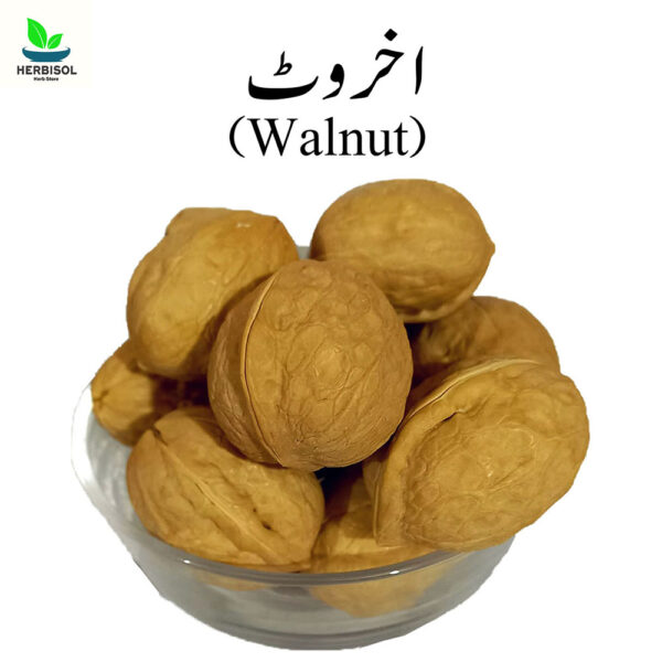 Akhrot اخروٹ - Walnut  - 100% Original, Fresh and Pure Sabit / Sabut By Herbisol