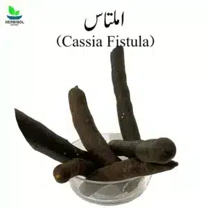 Amaltass املتاس – Cassia Fistula – Amaltaas Phalli / Amal Tas / Amultas / Amultass Phali / Amul Tass by Herbisol